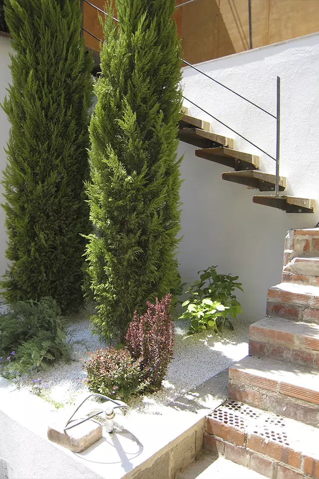 TC+2008_JC_house-10_640x960